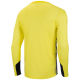 Свитер вратарский DIVISION PerFormDRY GK Pattern LS, желтый/черный/белый, детский